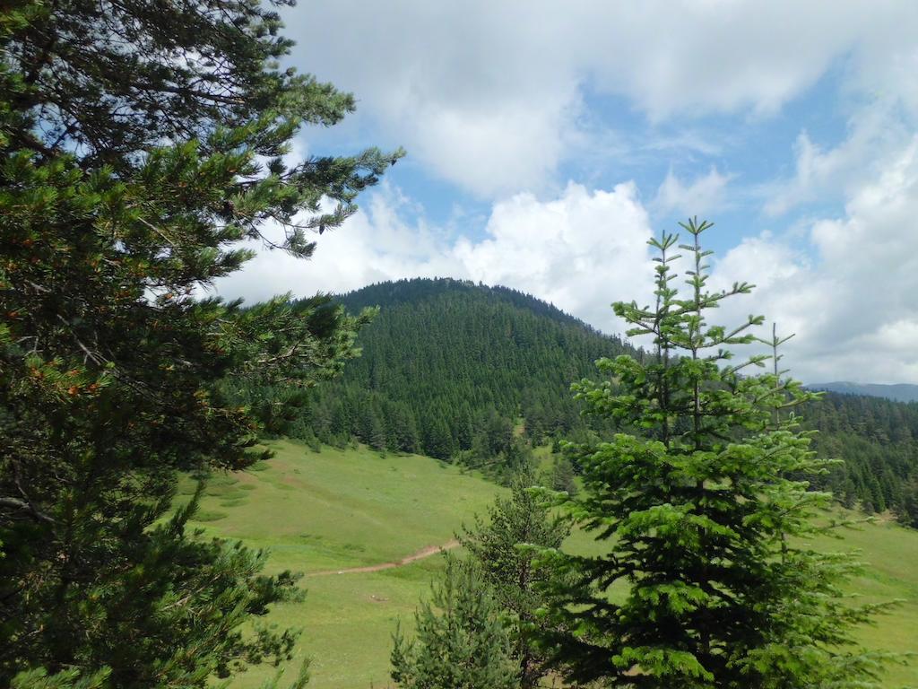Ilgaz Derbent Hotel Екстериор снимка